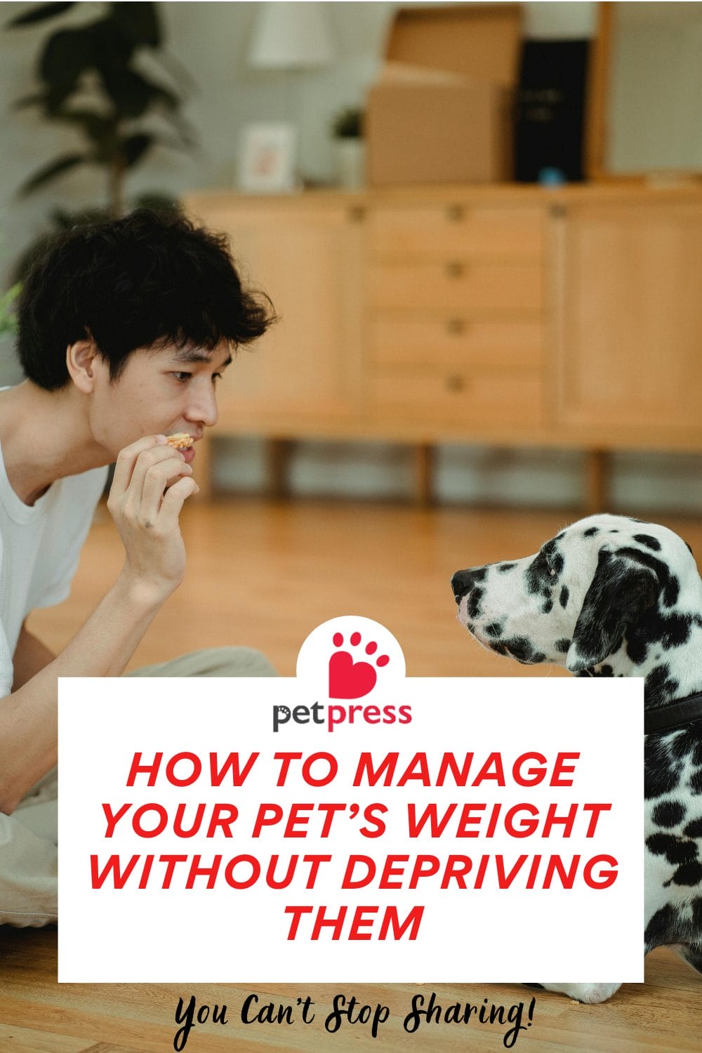 Manage Your Pet’s Weight