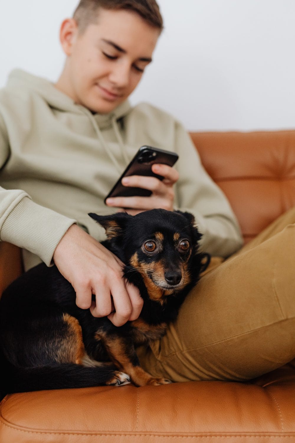 Manage Your Pet’s Weight