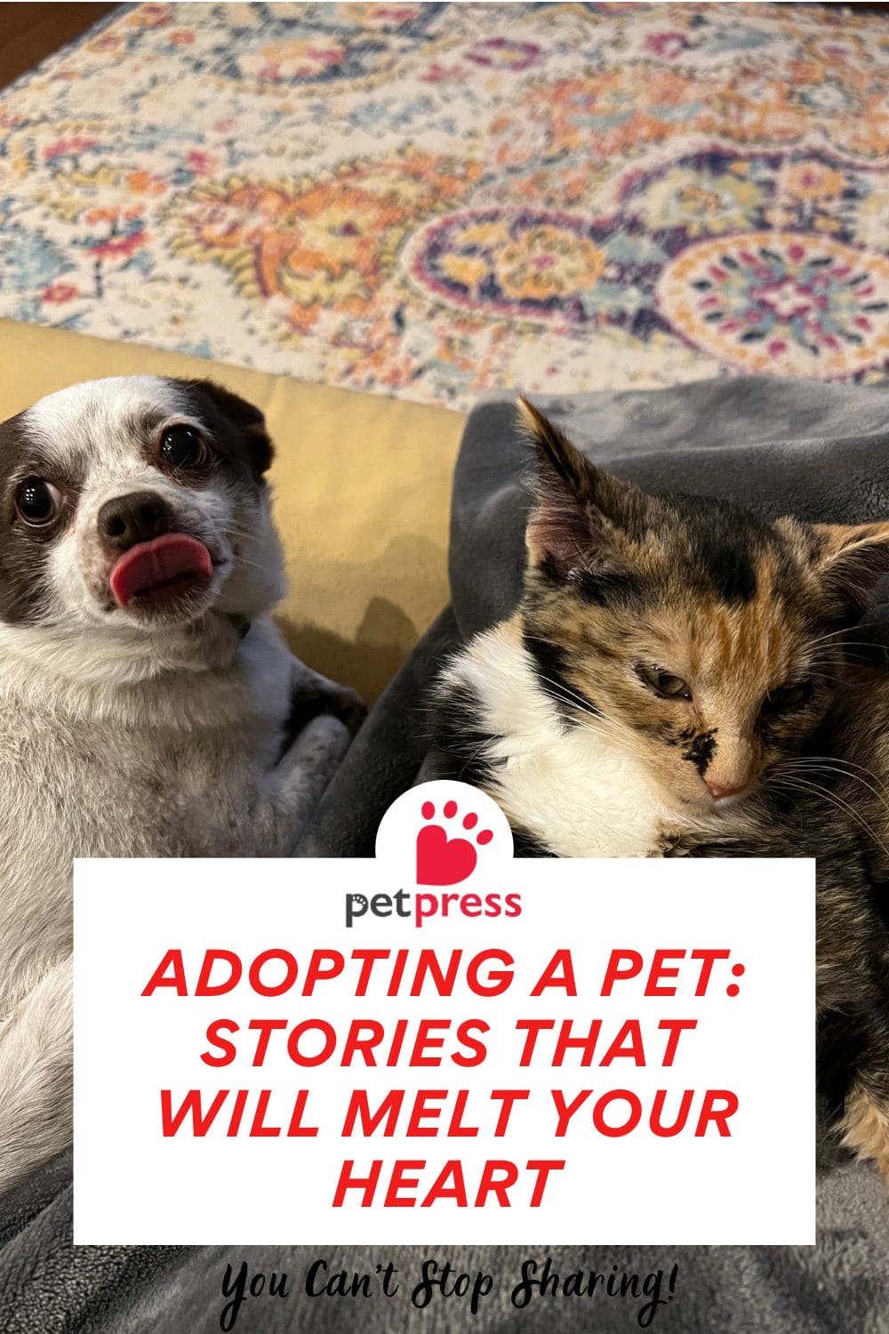 Adopting A Pet