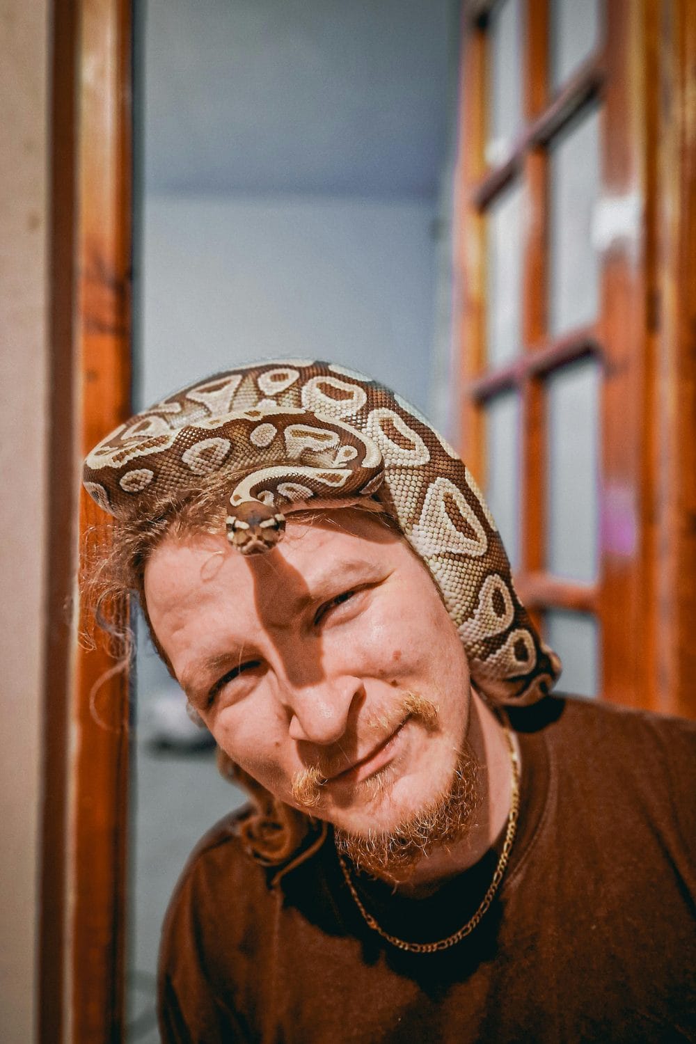 Snakes as Pets