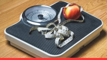 Manage Your Pet’s Weight