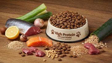 high-quality-dog-foods
