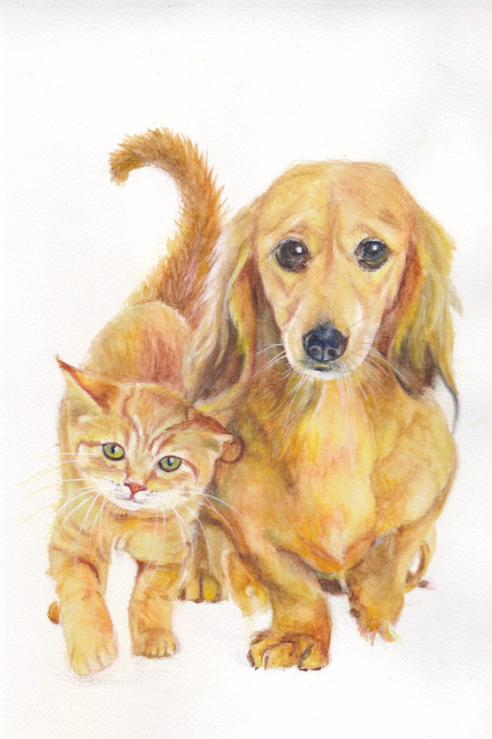 Travel-Friendly Pets\