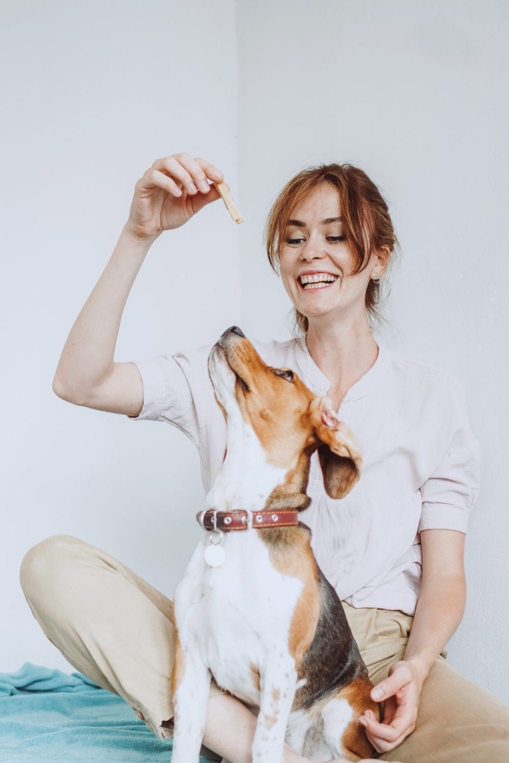 Daily Exercise Needs for Different Dog Breeds