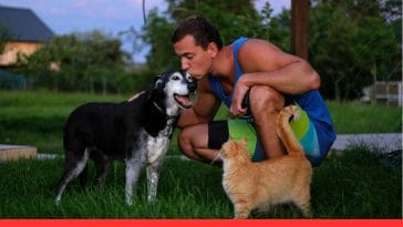 Care for a Senior Dog or Cat