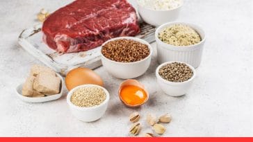 Grain-Free Dog Food