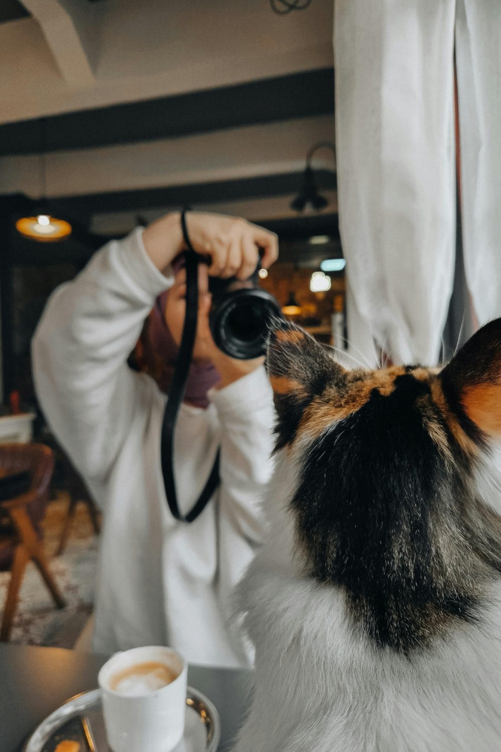 How to Take Instagram-Worthy Photos of Your Dog: A Complete Guide