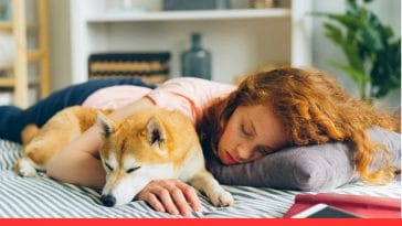 Dog’s Sleeping Position Says About Them