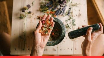 Safe Herbs for Pets