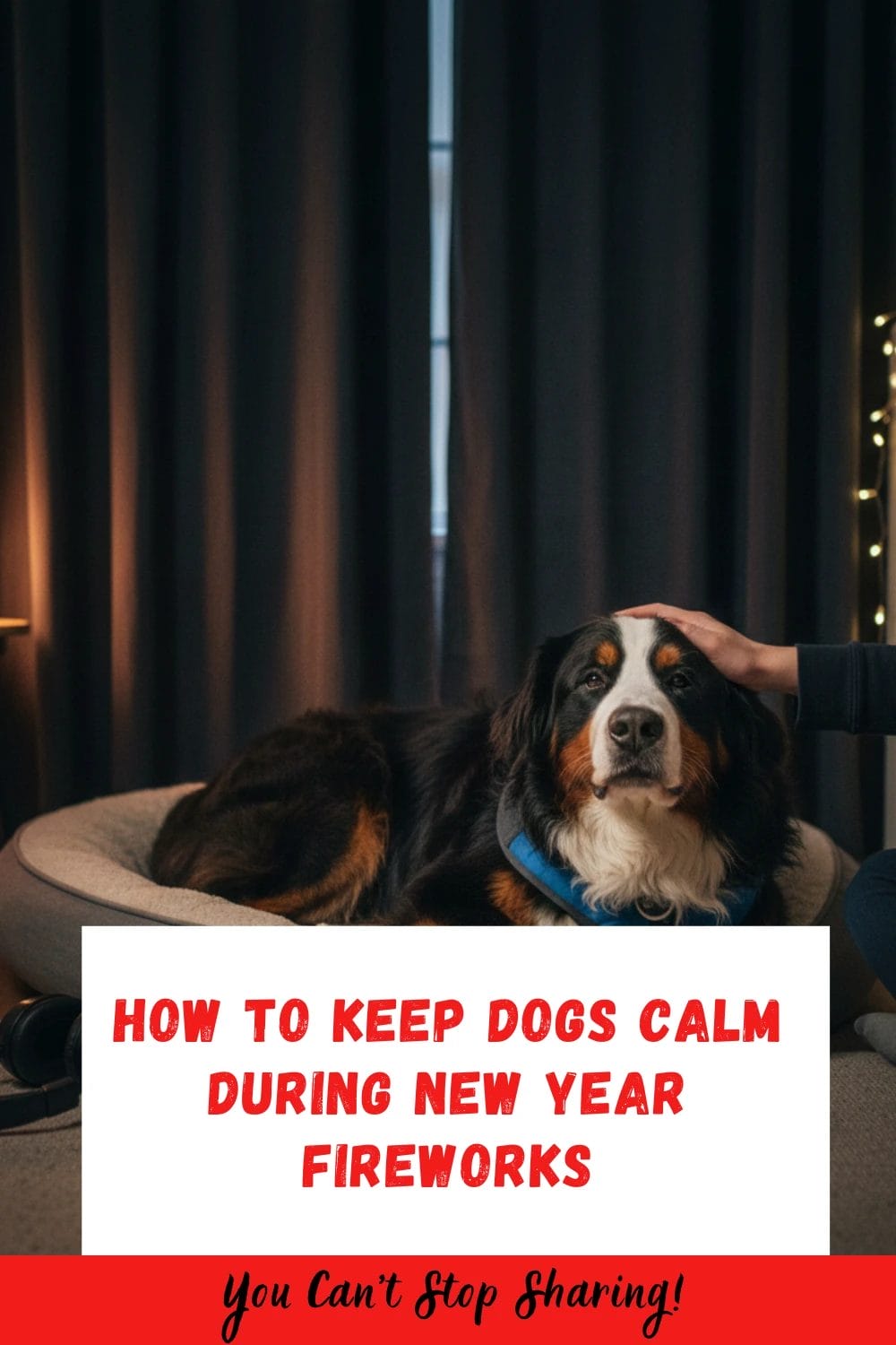 how to keep dogs calm during new year fireworks