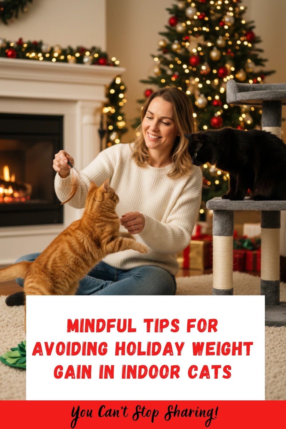 voiding Holiday Weight Gain in Indoor Cats