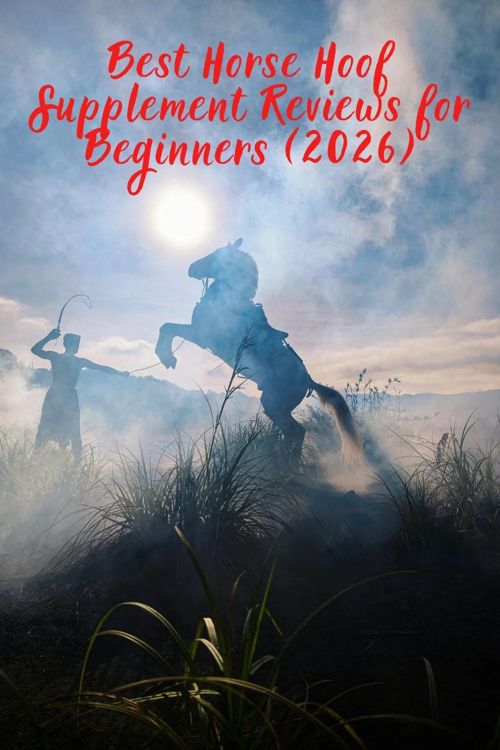 Best Horse Hoof Supplement