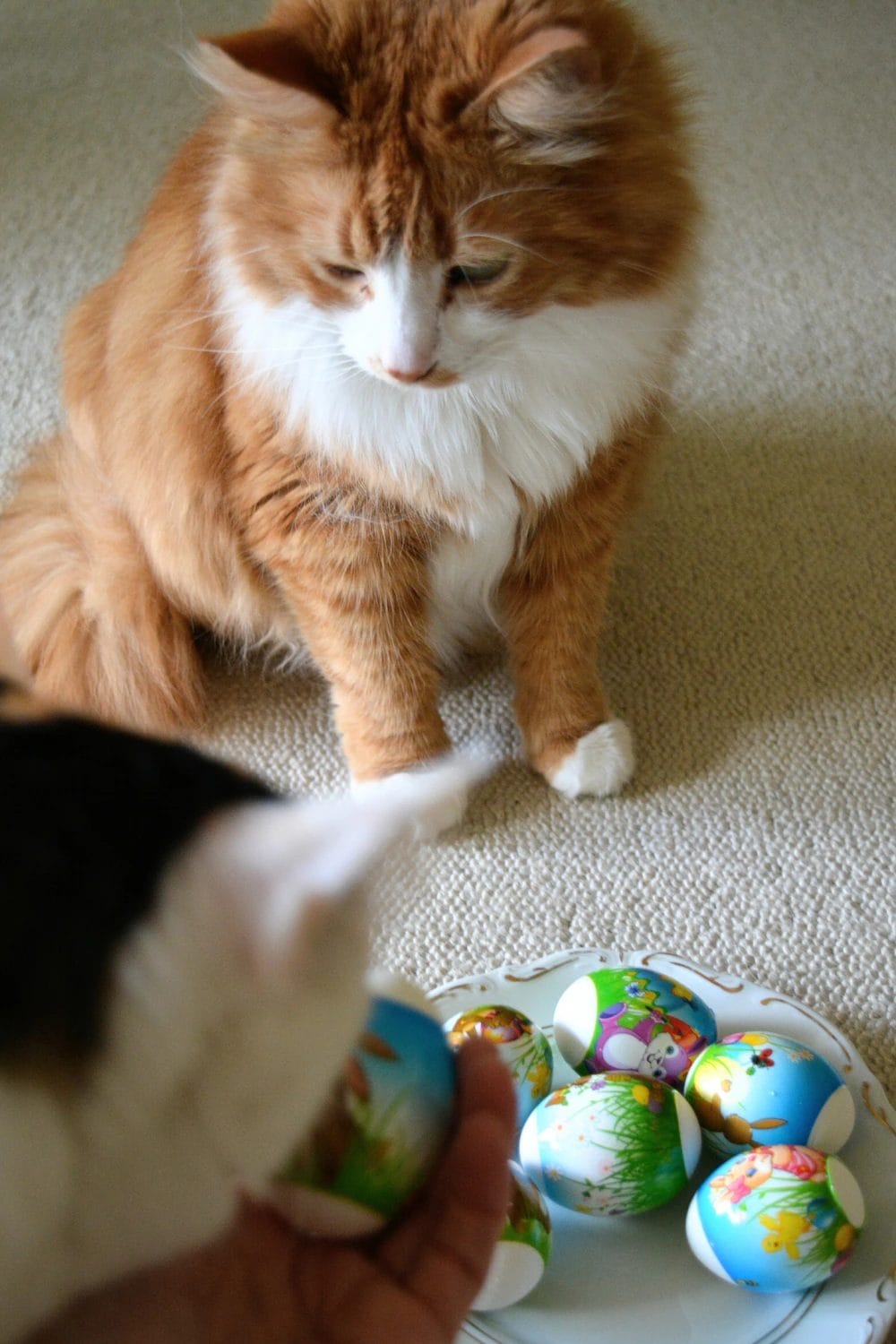 Grain-Free Carob Easter Eggs