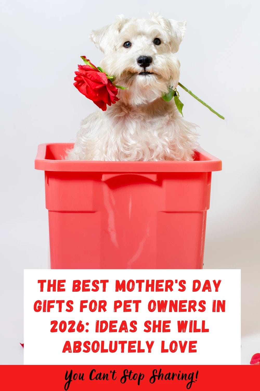 The Best Mother's Day Gifts for Pet Owners in 2026: Ideas She Will Absolutely Love