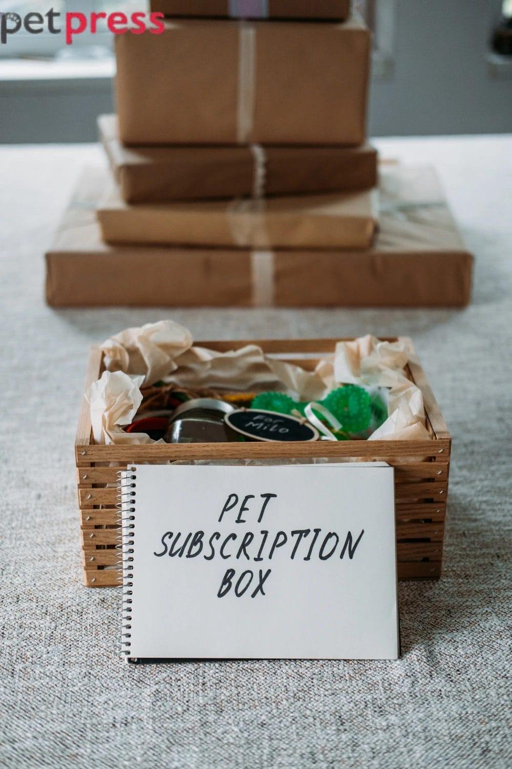 Subscription Box for Pet Moms