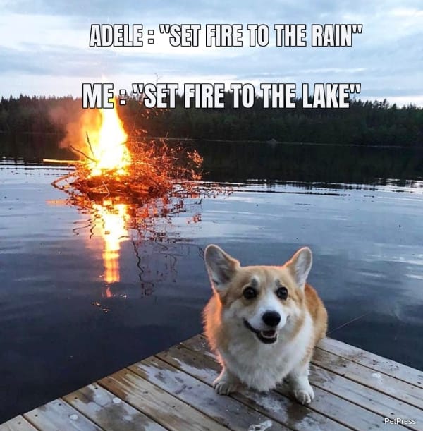 ADELE : "SET FIRE TO THE RAIN" ME : "SET FIRE TO THE LAKE" 