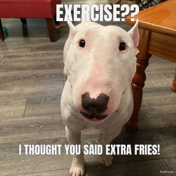 EXERCISE?? I THOUGHT YOU SAID EXTRA FRIES!