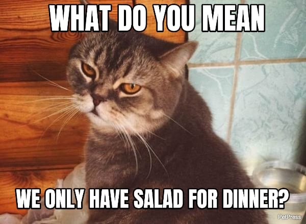 fat cat meme - salad