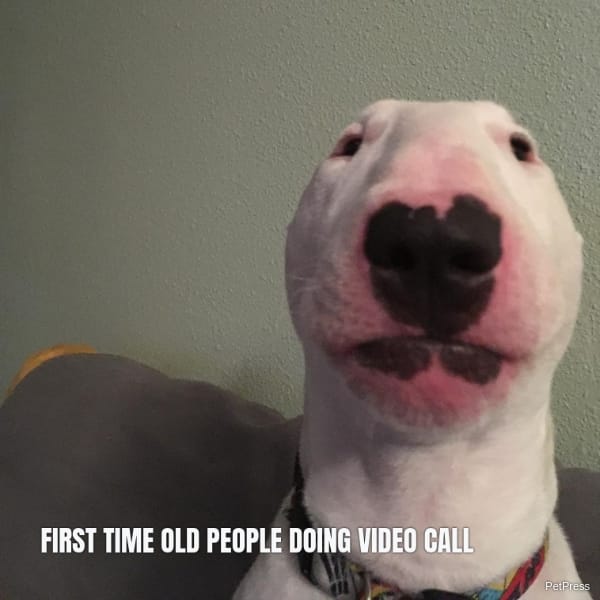FIRST TIME OLD PEOPLE DOING VIDEO CALL