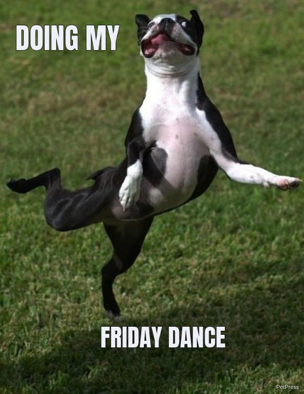 friday dog dance meme