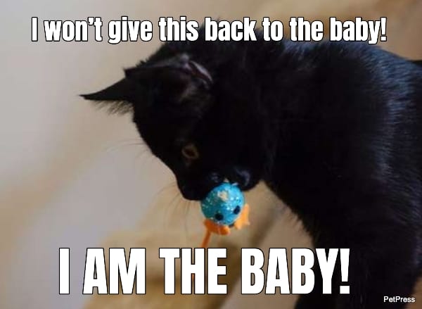 I won’t give this back to the baby!  I AM THE BABY!  
