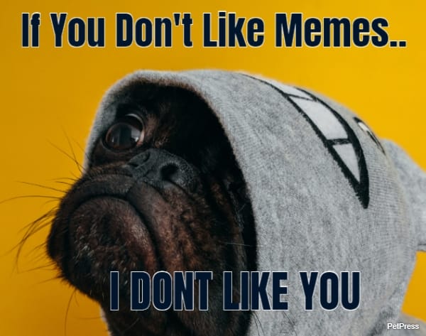 If You Don't Like Memes.. I DONT LIKE YOU   