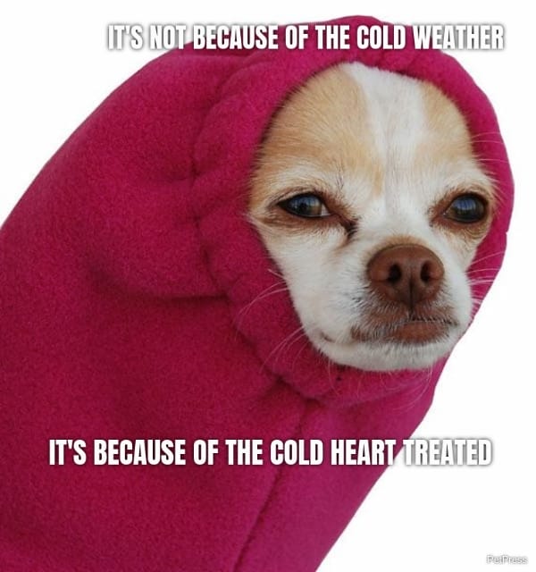 IT'S NOT BECAUSE OF THE COLD WEATHER IT'S BECAUSE OF THE COLD HEART TREATED