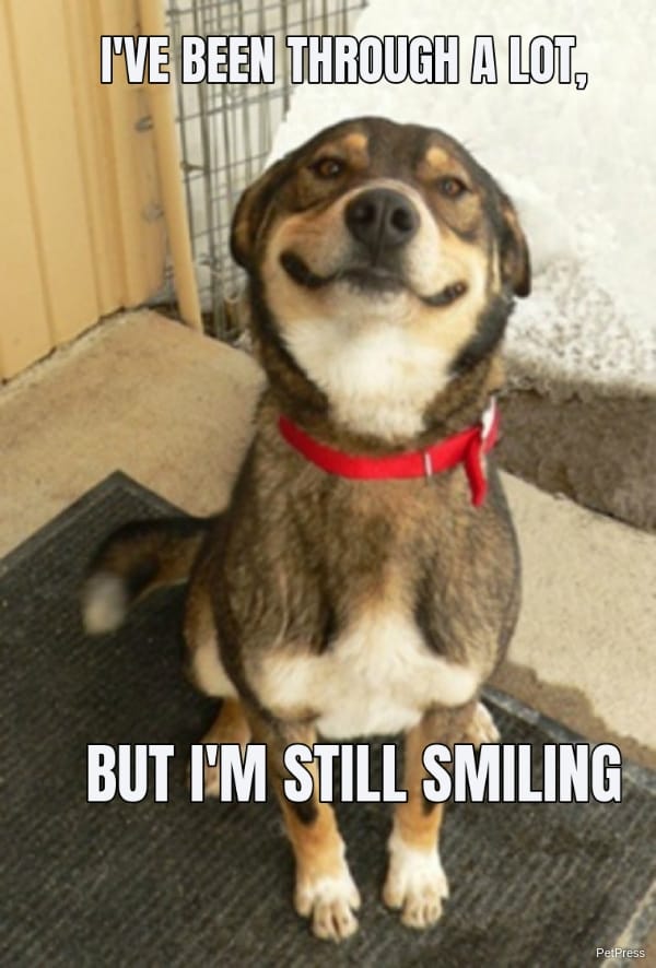 I'VE BEEN THROUGH A LOT, BUT I'M STILL SMILING