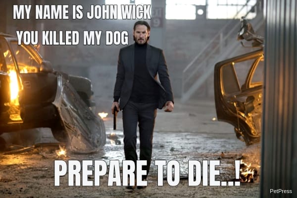 John Wick dog meme