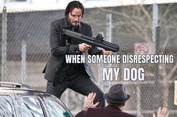 john wick dog meme