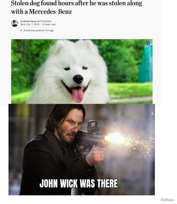 john wick dog meme