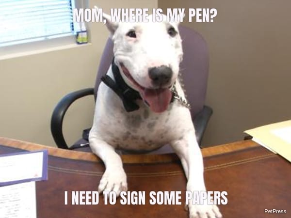 MOM, WHERE IS MY PEN? I NEED TO SIGN SOME PAPERS