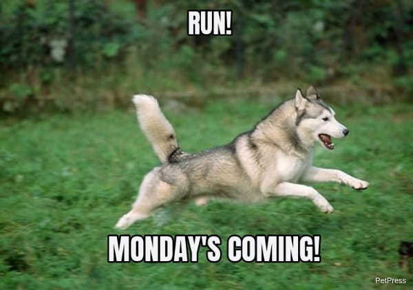 RUN! MONDAY'S COMING!