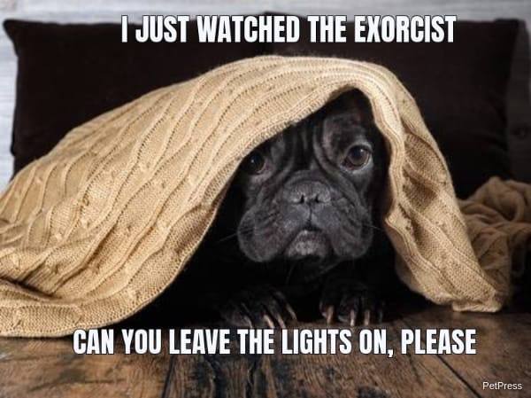 scared dog of the exorcist