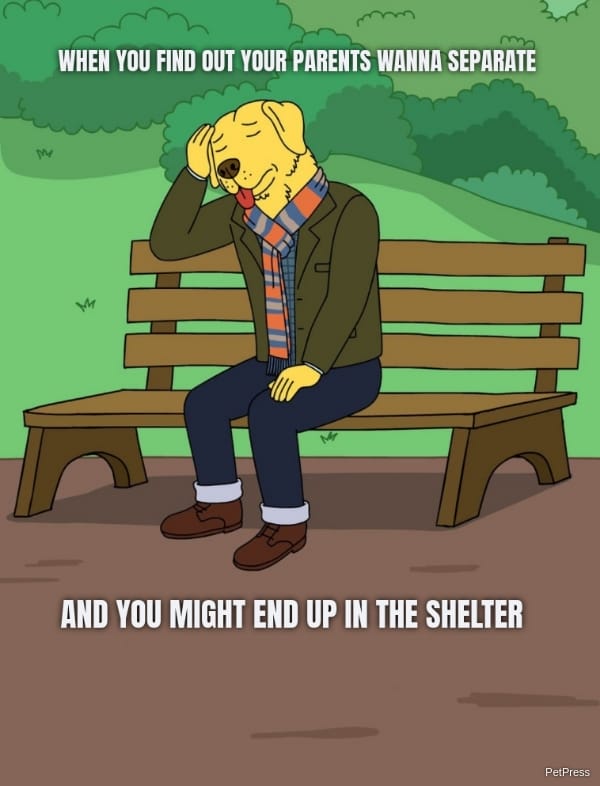 WHEN YOU FIND OUT YOUR PARENTS WANNA SEPARATE AND YOU MIGHT END UP IN THE SHELTER