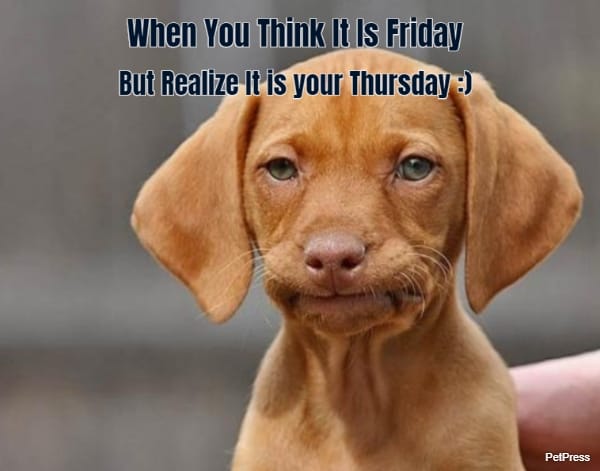 When You Think It Is Friday  But Realize It is your Thursday :)  
