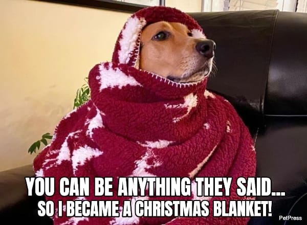 beagle christmas meme