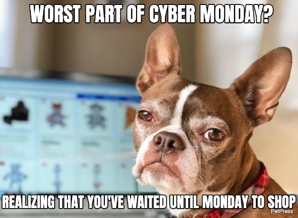 boston terrier cyber monday meme