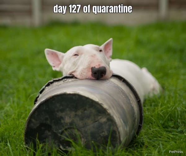 day 127 of quarantine... 