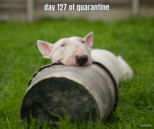 day 127 of quarantine...