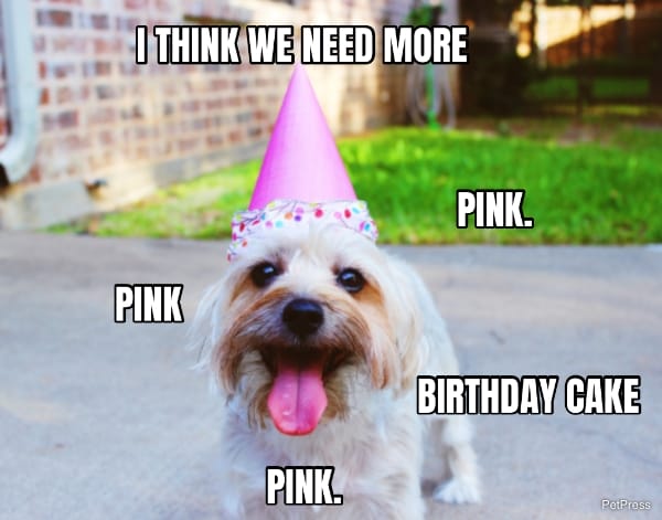 I THINK WE NEED MORE... PINK.... ... PINK... BIRTHDAY CAKE... PINK.