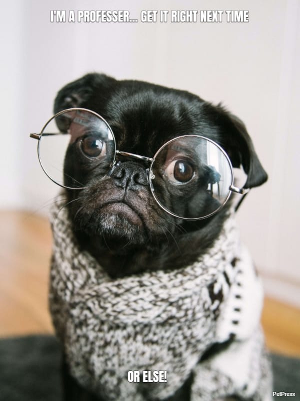 I'M A PROFESSER... GET IT RIGHT NEXT TIME... OR ELSE!