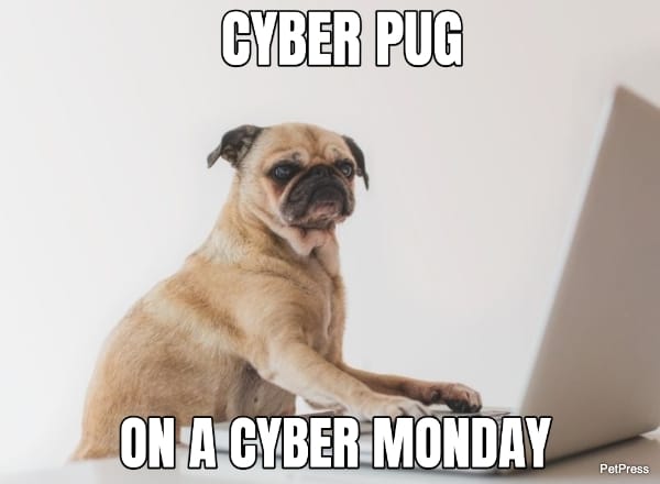 pug cyber monday meme