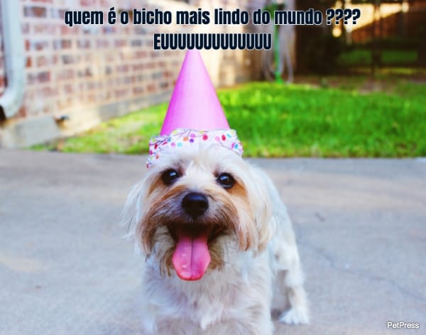 Quem é o bicho mais lindo... EUUUUUU