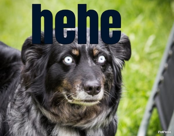 hehe... 
