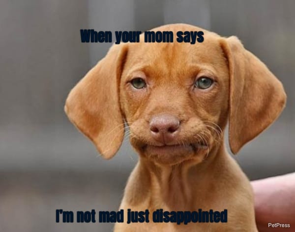 When your mom says... I’m not mad just disappointed 