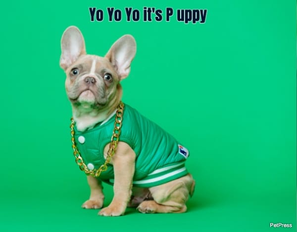 Yo Yo Yo it's P uppy... 