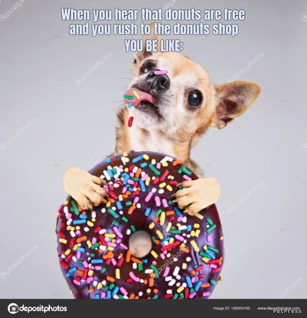 When you hear that donuts are free... and you rush to the donuts shop... YOU BE LIKE: