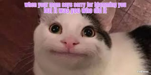 when your mom says sorry for blamming you... but it was you who did it