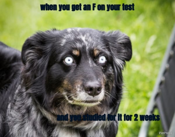 when you get an F on your test... and you studied for it for 2 weeks
